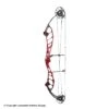 2021 PSE Citation EM Compound Target Bow -Archery Equipment Store 3530670