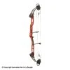2021 PSE Lazer Target Compound Bow 2 2021 PSE Lazer Target Compound Bow -Archery Equipment Store 3530672 blackcherry