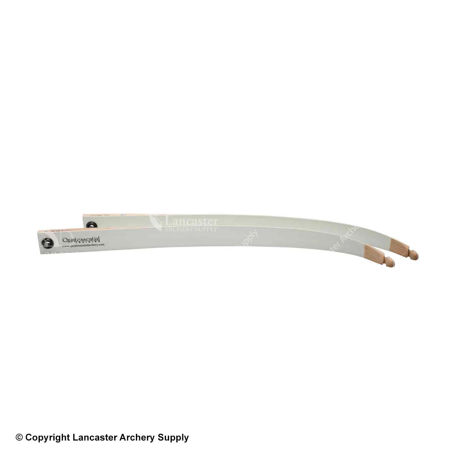 Quintessential 10# Training Limbs Fit Polaris, Prostyle, Rolan Risers 3 Quintessential 10# Training Limbs Fit Polaris, Prostyle, Rolan Risers