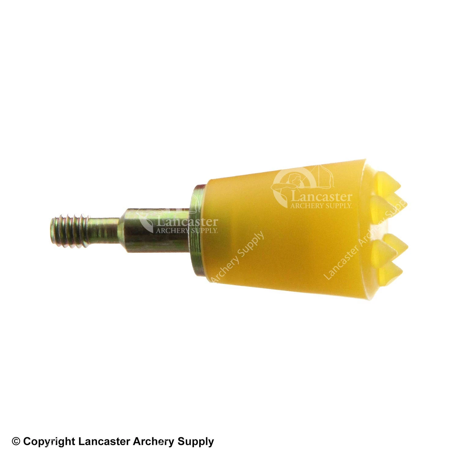 Saunders Screw-In Bludgeon Points 6 Saunders Screw-In Bludgeon Points - Image 4