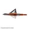 Wasp Havalon HV Fixed Blade Broadhead (125 Grain) -Archery Equipment Store 4670059 ef129aee 6834 4ee5 8dd6 13e1d0a4d8d0