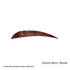 Trueflight Barred 4" RW Round Back Feather -Archery Equipment Store 5200005 barredautumnbrown