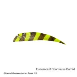 Trueflight Barred 4" RW Round Back Feather -Archery Equipment Store 5200005 barredchartruse