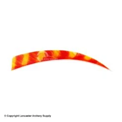 Trueflight Brite Stripes 5" RW & LW Shield Back Feather -Archery Equipment Store 5200007 char orange