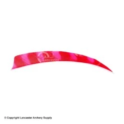 Trueflight Brite Stripes 5" RW & LW Shield Back Feather -Archery Equipment Store 5200007 red pink