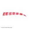 Trueflight Brite Stripes 5" RW & LW Shield Back Feather -Archery Equipment Store 5200007 red white