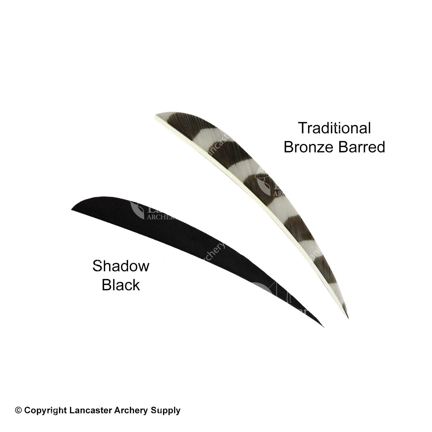 Trueflight 4" Round Back Feathers (18 Count Combo Pack) 11 Trueflight 4" Round Back Feathers (18 Count Combo Pack) - Image 9