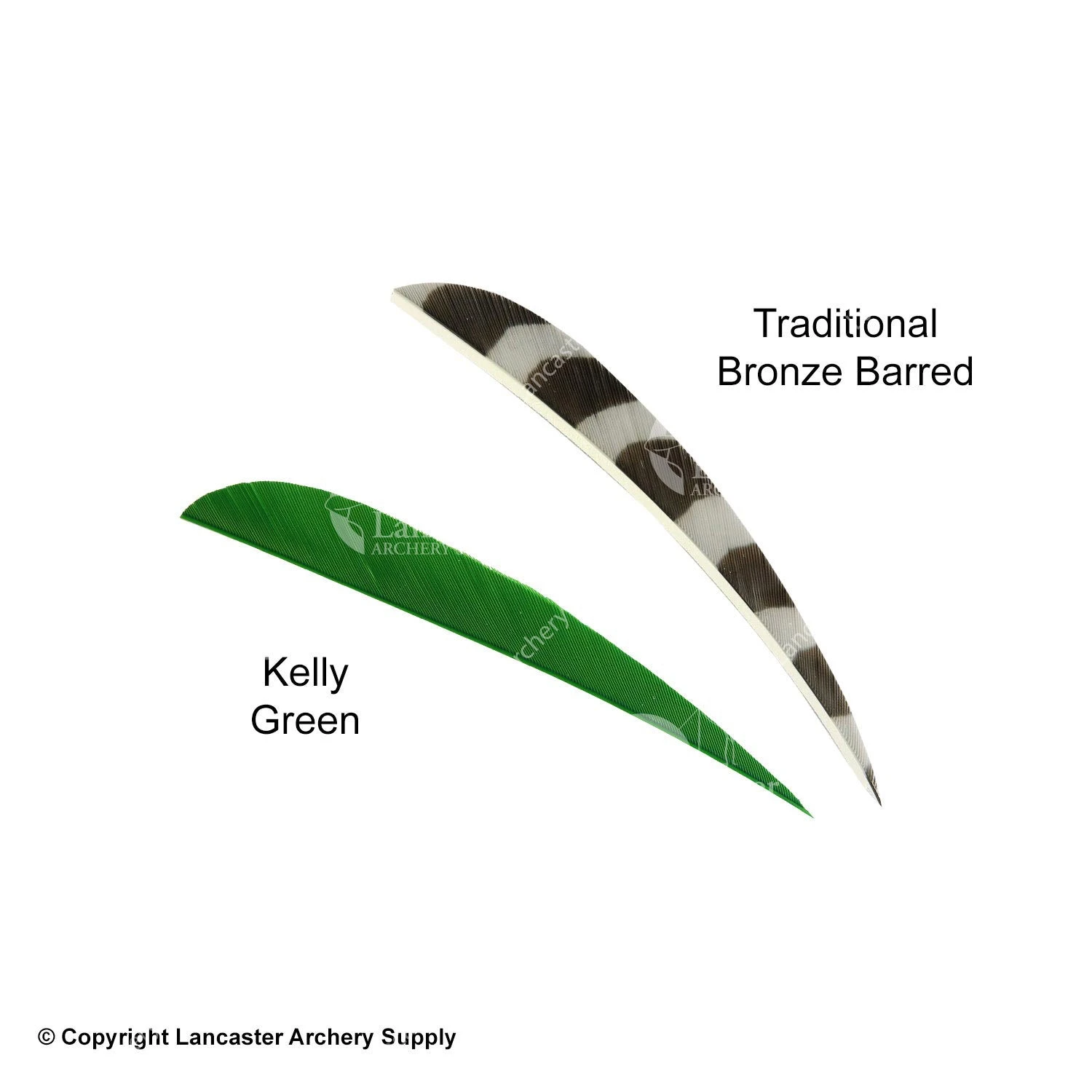 Trueflight 4" Round Back Feathers (18 Count Combo Pack) 9 Trueflight 4" Round Back Feathers (18 Count Combo Pack) - Image 7