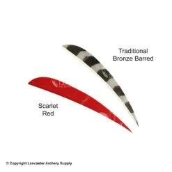 Trueflight 4" Round Back Feathers (18 Count Combo Pack) 16 Trueflight 4" Round Back Feathers (18 Count Combo Pack) -Archery Equipment Store 5200011 red