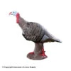 Rinehart Tom Turkey Target -Archery Equipment Store 5650007