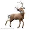 Rinehart Kicking Deer Target -Archery Equipment Store 5650258