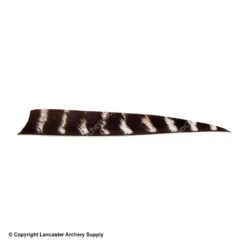 Bearpaw 5" Shield Cut Natural Barred Feather