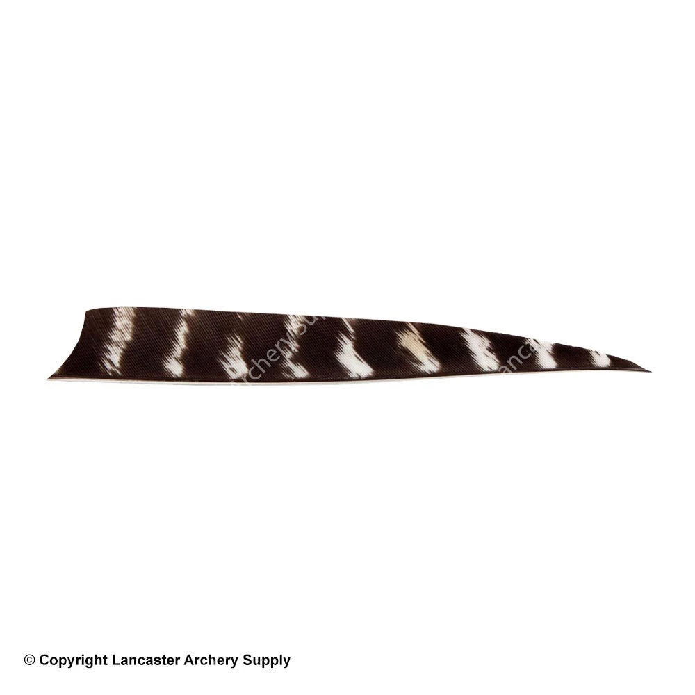 Bearpaw 5" Shield Cut Natural Barred Feather 3 Bearpaw 5" Shield Cut Natural Barred Feather