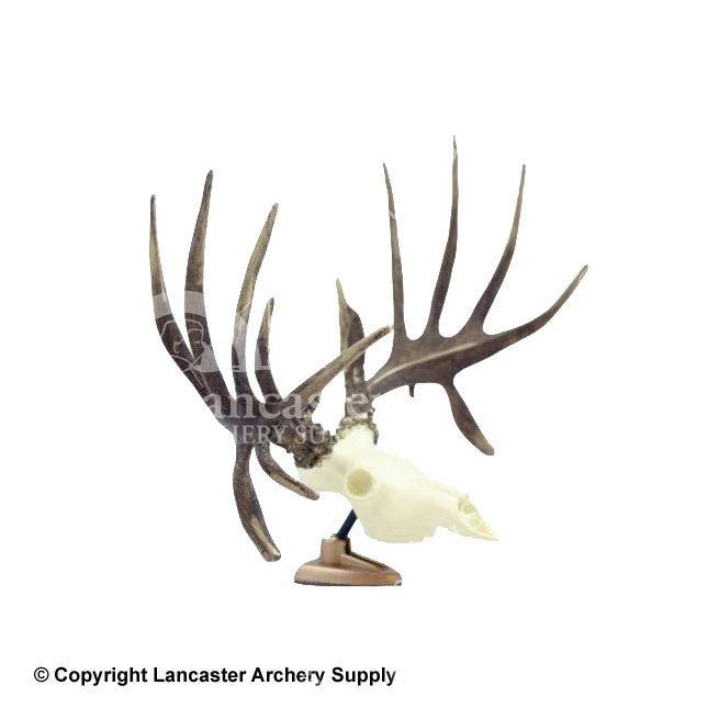 SPG Big Rack Raxx Figurine 3 SPG Big Rack Raxx Figurine