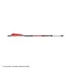 Bloodsport Witness Crossbow Arrows -Archery Equipment Store 8500069