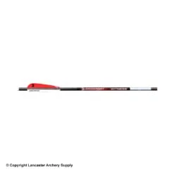 Bloodsport Witness Crossbow Arrows