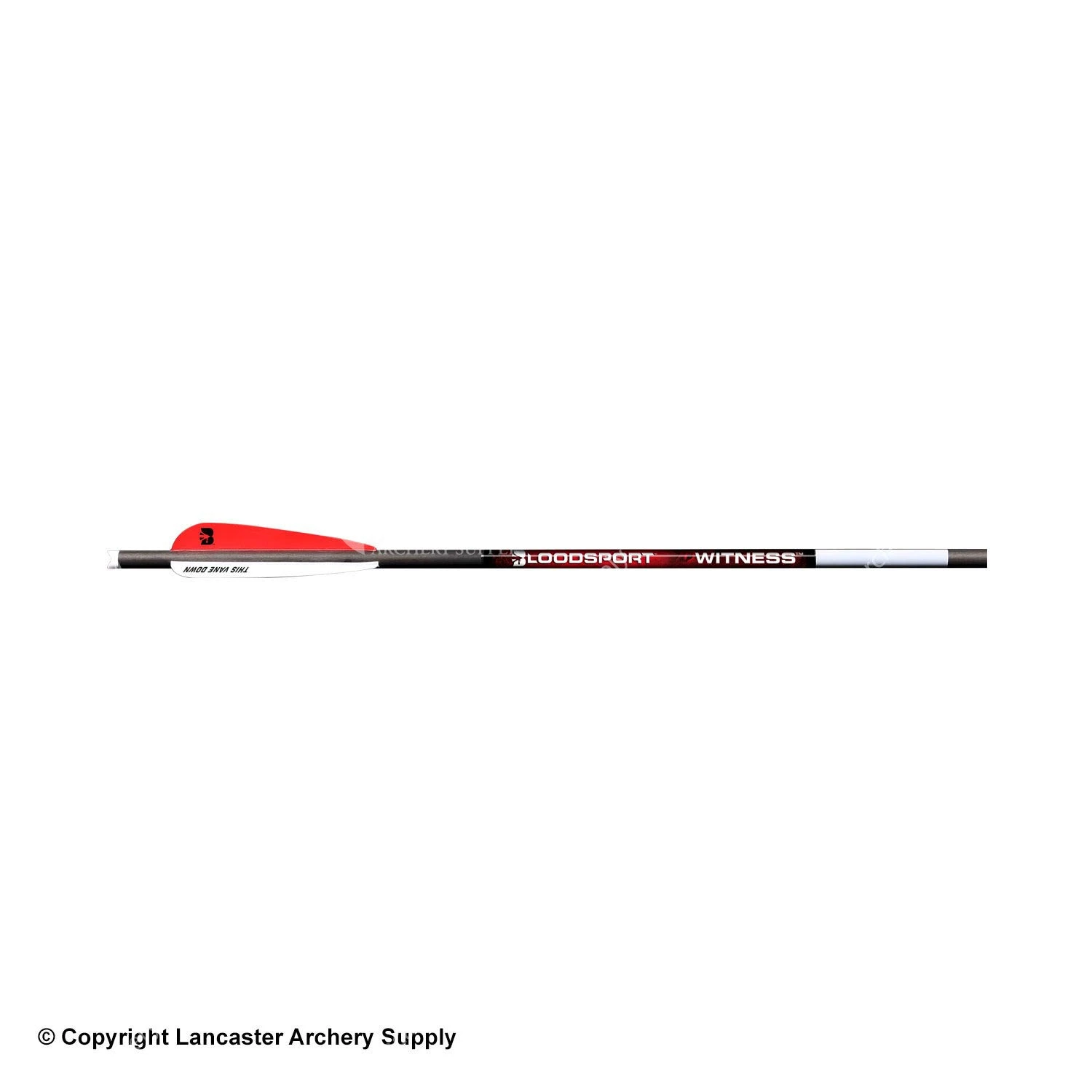 Bloodsport Witness Crossbow Arrows 3 Bloodsport Witness Crossbow Arrows