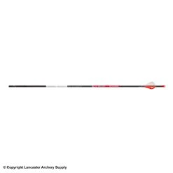 Bloodsport Prosecutor Fletched Arrows