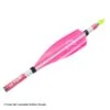 XsWings Vanes (100mm) 2 XsWings Vanes (100mm) -Archery Equipment Store 9320007 high pink