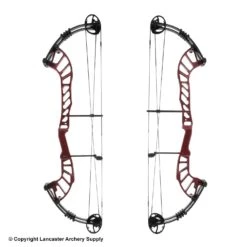 Hoyt Altus 38 Compound Target Bow (SVX)(Clearance X1032769) -Archery Equipment Store X1032769a